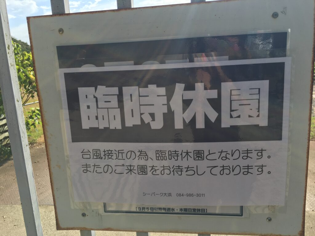 「台風のあとは海がいい！！！」